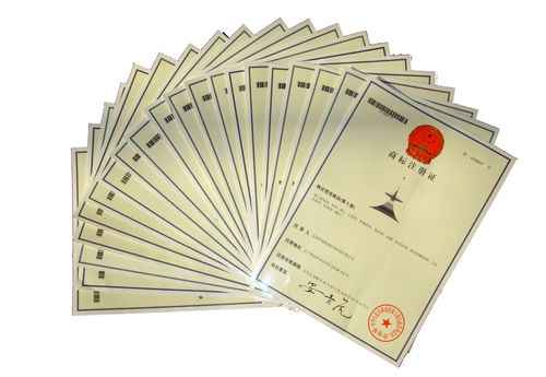 版权代理服务指南 北京中科科创知识产权代理事务所专业解析